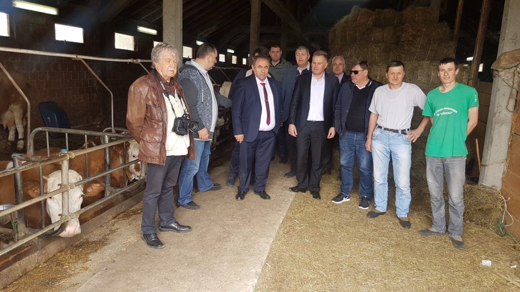 Делгација српске дијаспоре у посетил фарми крава породице Поповић