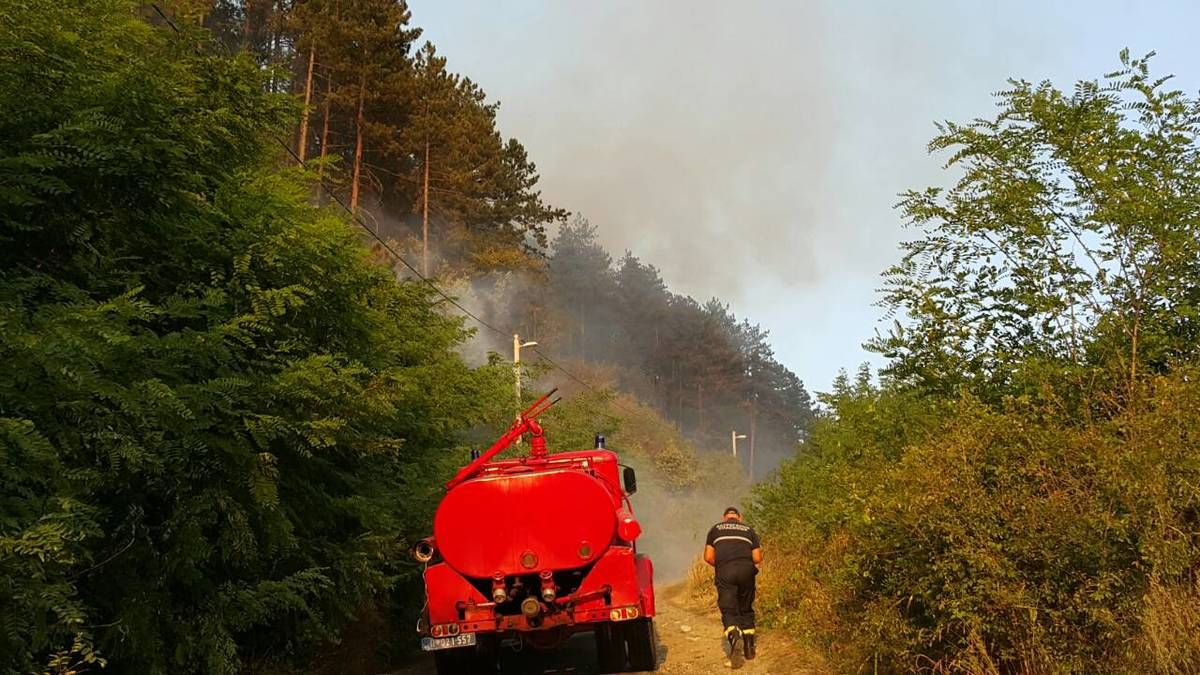 Гори борова шума недалеко од болнице у Пријепољу, угрожено неколико насеља