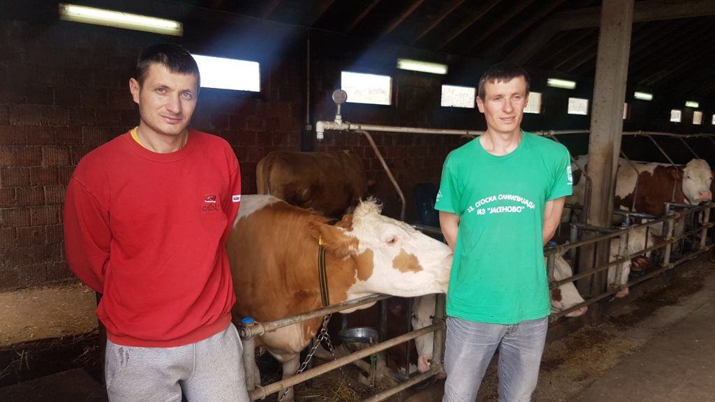 Браћа Милош и Младен Поповић највећи произвођачи млека у нововарошком крају