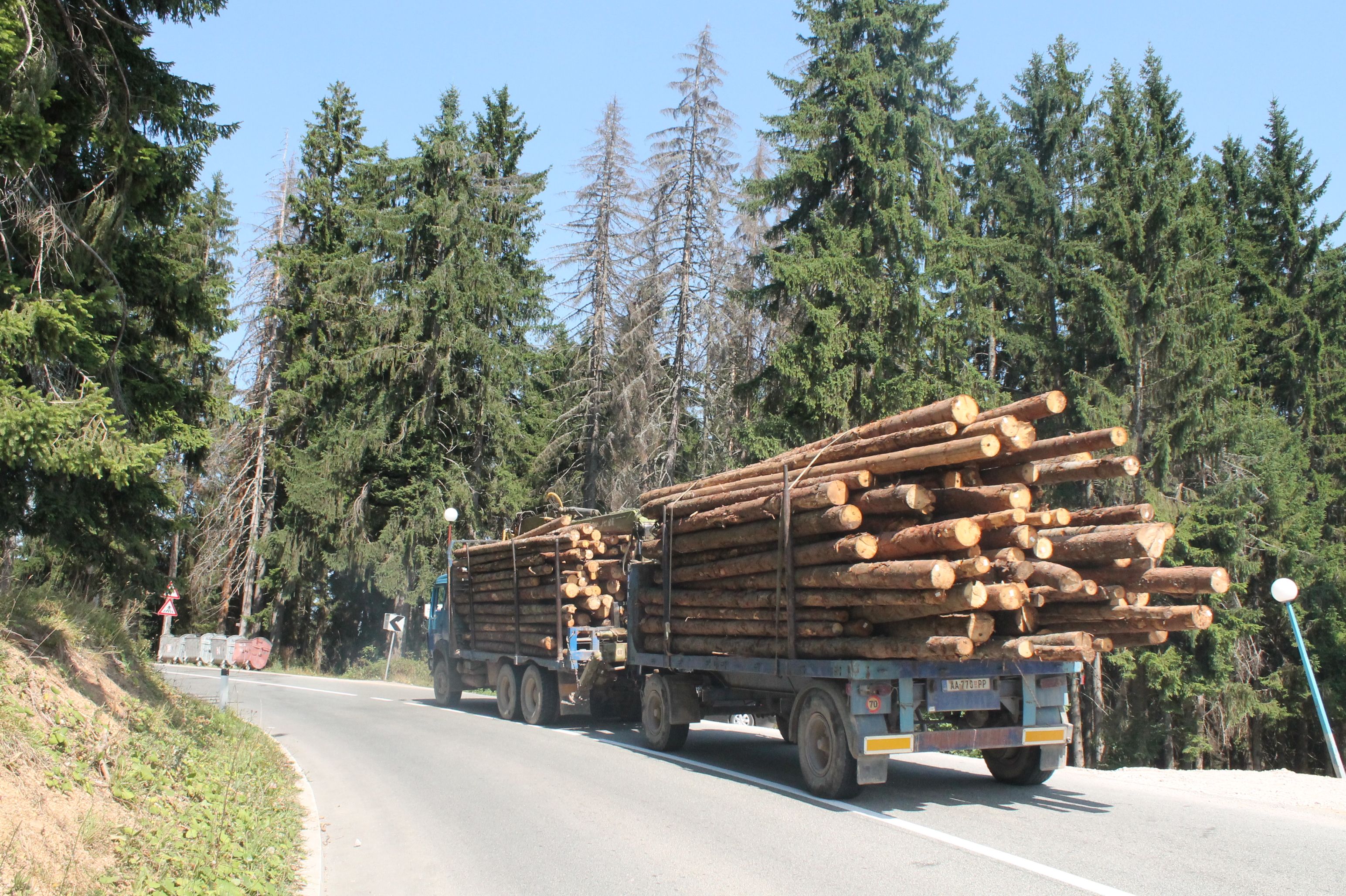 Kуда иду паре намењене унапређењу стања шума? ( Фото: Златар Инфо)