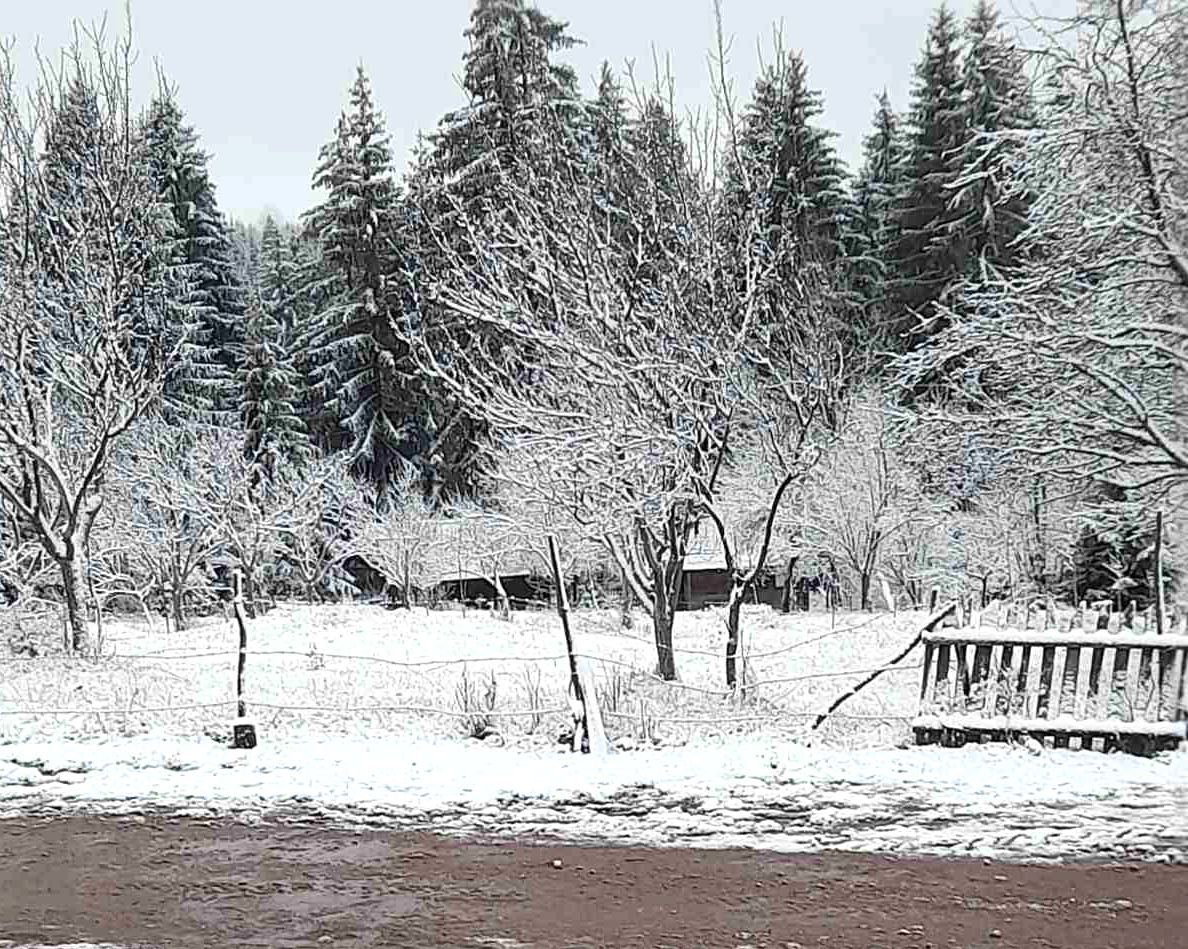 Зима подсетила на календар и у Дебељи (Фото: И. Јелић)