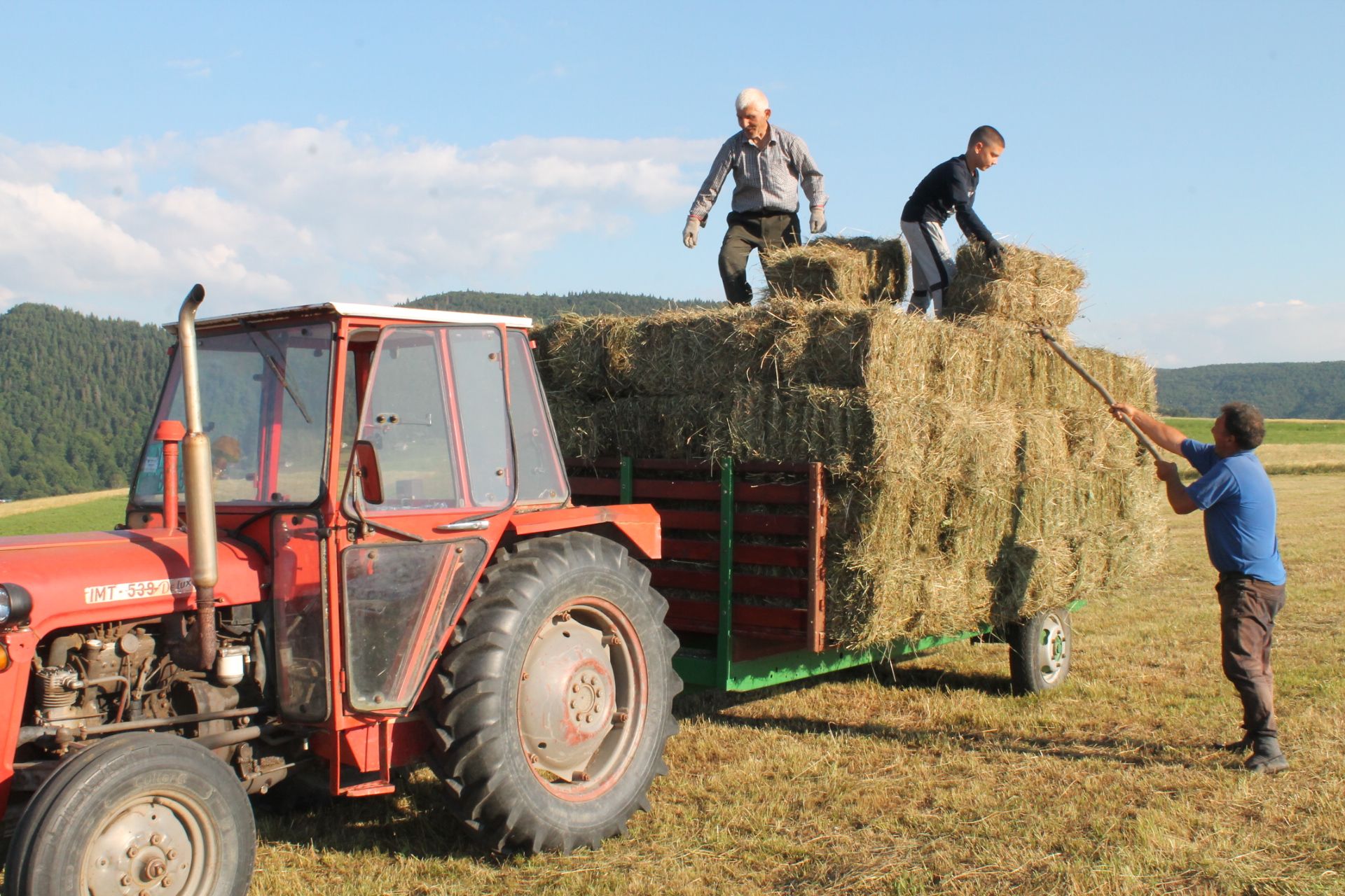 Одужила се косидба и сакупљање сена у Рујиштима ( Фото: Д. Гагричић)