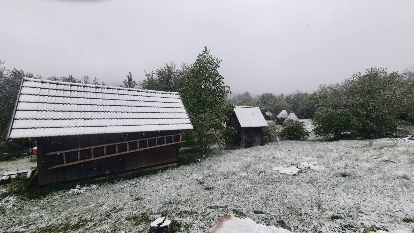 Јутроѕ се забелела Муртеница