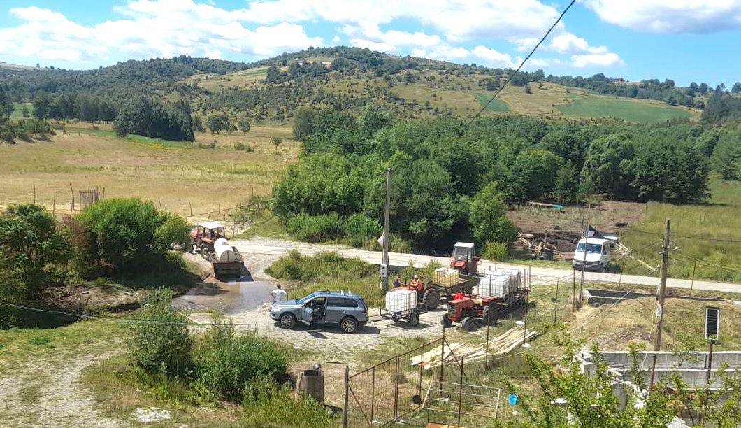 Муке, ред на врелу Вршевине (Фото; Ј. Радишић)