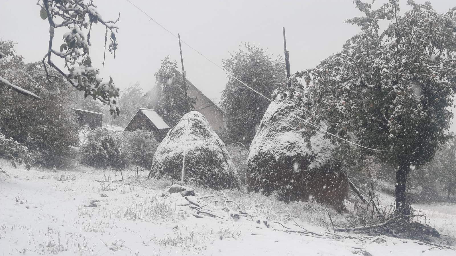 Влажан снег у Равном тору, на Муртеници (Фото: Д. Спасојевић)