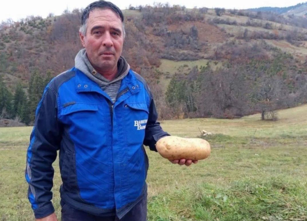 Задовољни пољопривредник -  Зоран Дрнадаревић