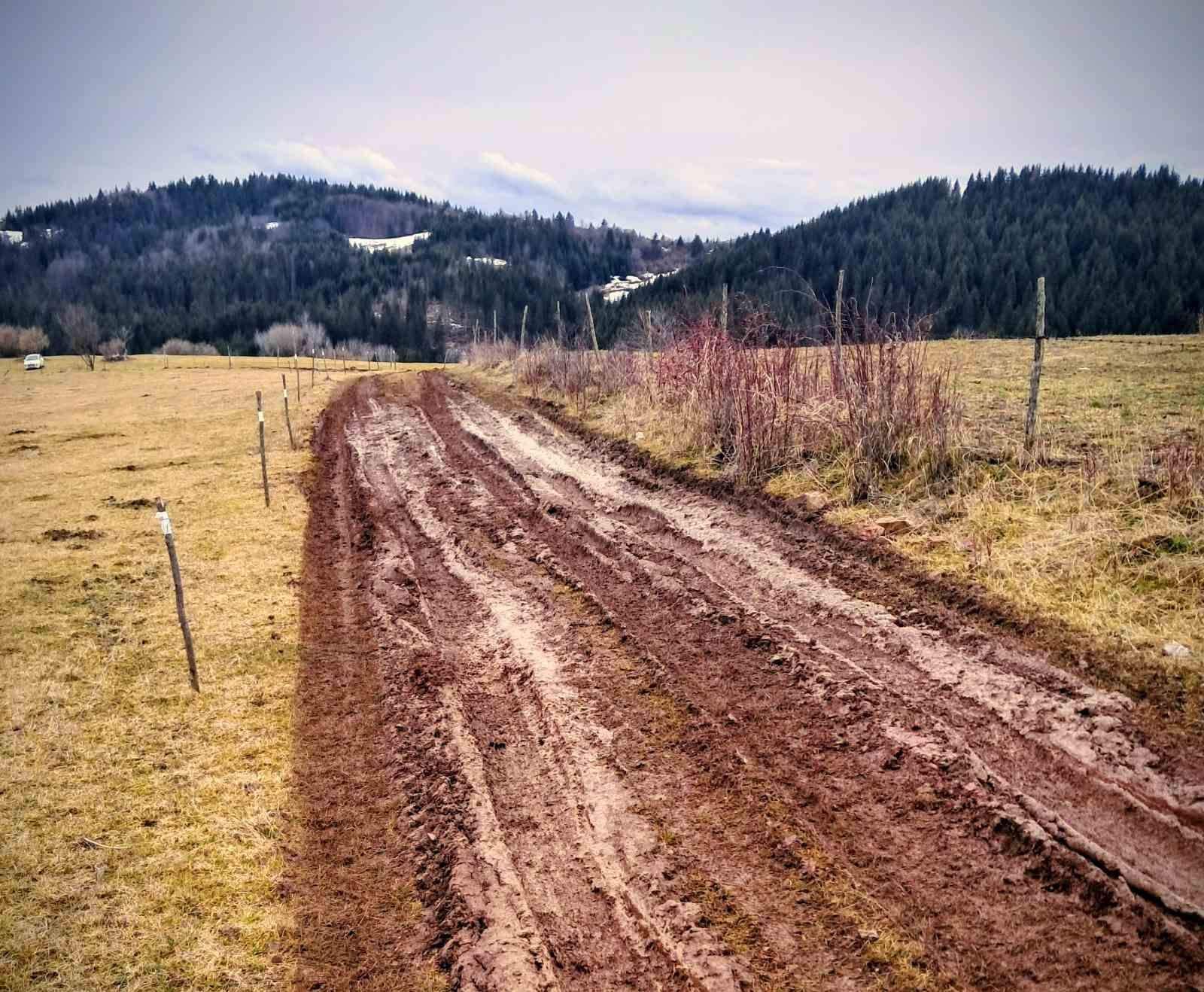 Трагови зиме и падавина – (Снимио: Р. Јелић)