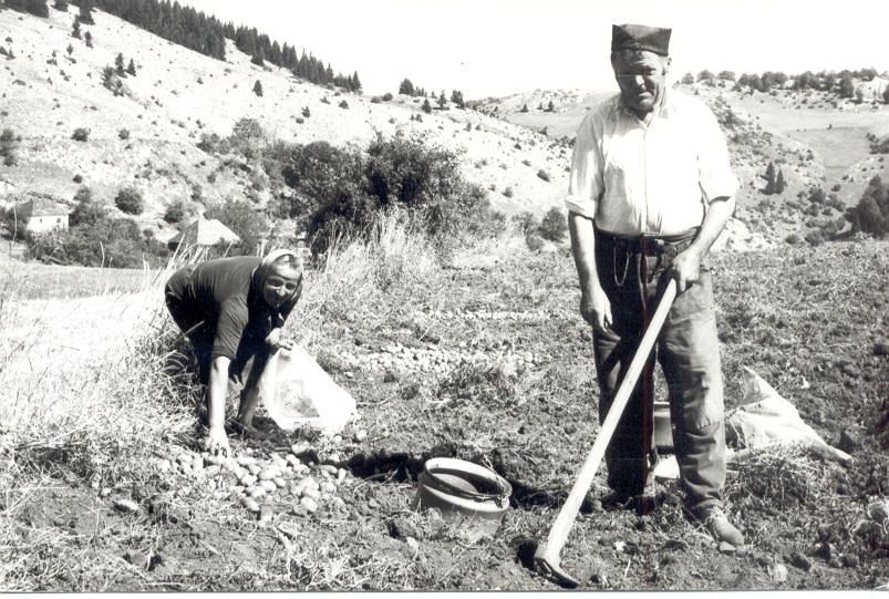 Села Старог Влаха остало без руку