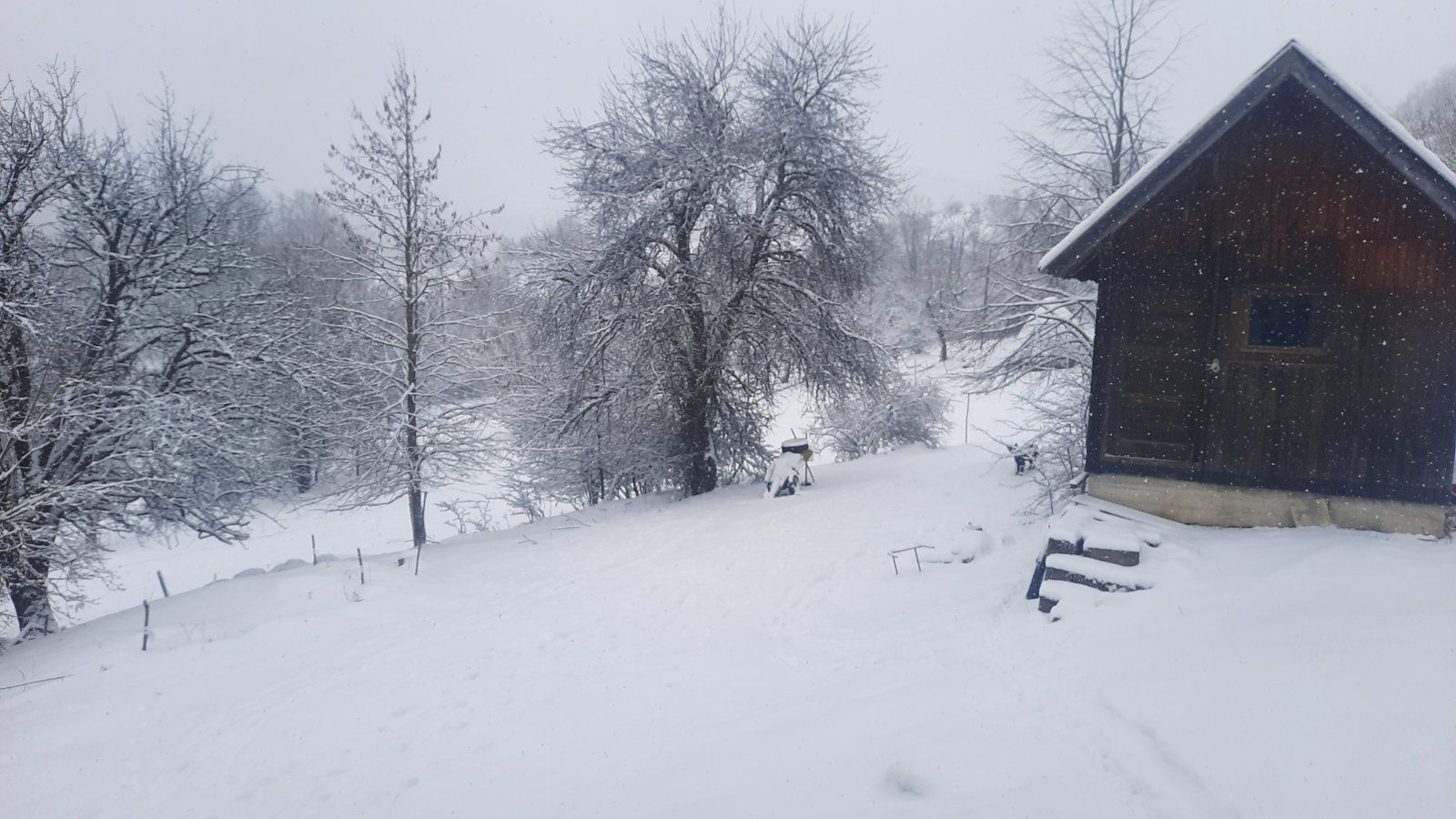 Јутрос у Равном тору (Фото: Д. Спасојевић)