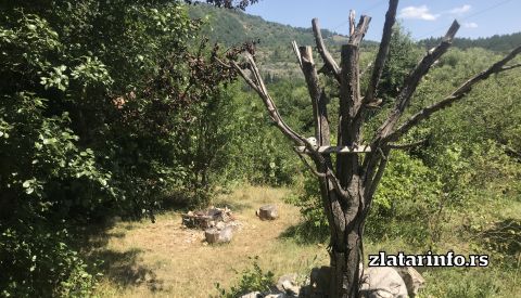 Kokin Brod Apartments