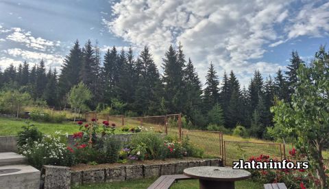 Vila "Anka" Zlatar
