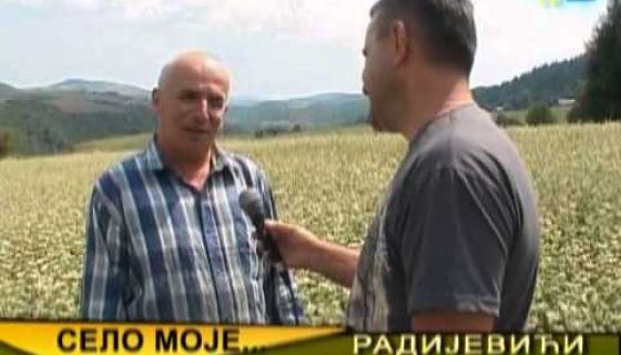 TV Priboj - Selo moje - Radijevići, Nova Varoš