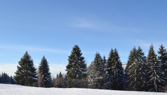 Zima na planini - Zlatar 2016