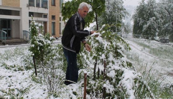 Sneg u Maju 2016. Nova Varoš