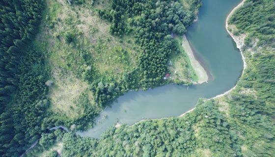 Ушће Тисовице у језеро - царство дивљине (Фото: Станко Голубовић)