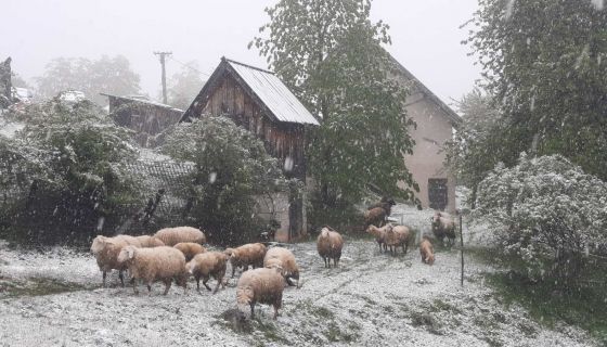 Јутроѕ се забелела Муртеница