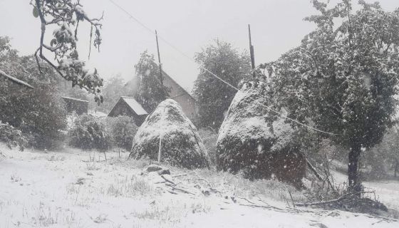 Влажан снег у Равном тору, на Муртеници (Фото: Д. Спасојевић)