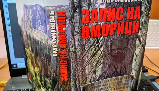 Потресна хроника о рату - глас против безумља