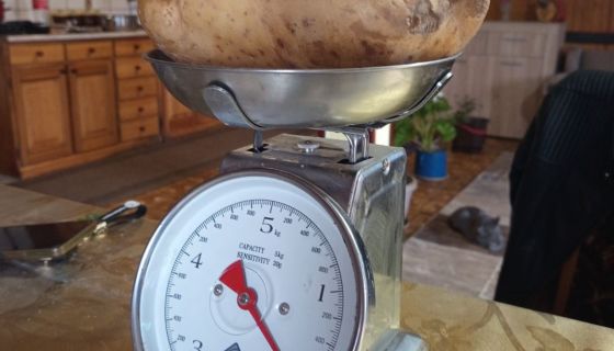 Иде на Кромпиријаду у Катиће