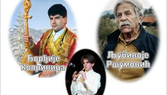 Вече гусала и поезије!