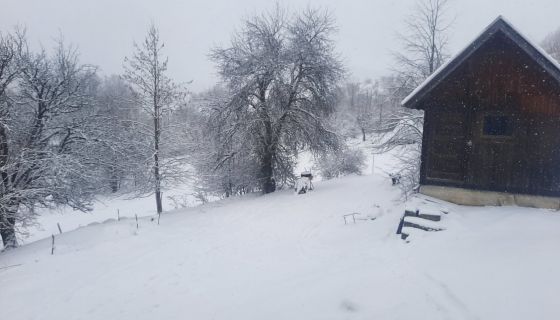 Јутрос у Равном тору (Фото: Д. Спасојевић)