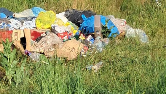 Бахатост – смеће на Говеђаку, крај пута Нова Варош Сјеница  ( Фото: Слађан Недовић)