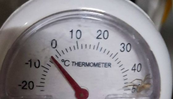 Jутрос у Варинама нa 1.134 метра